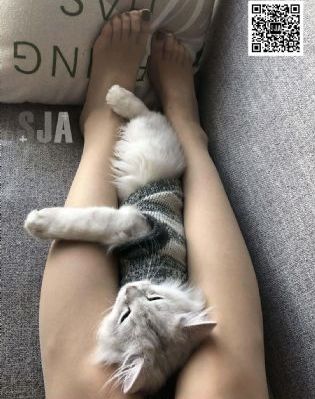 丰满的少妇k8经典片