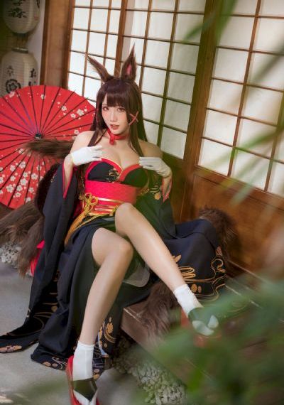 木棉花的春天