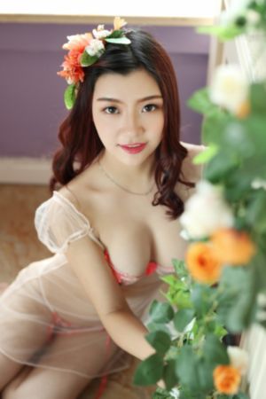 高级家庭教师在线观看