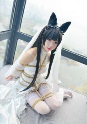 骑士与魔法