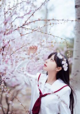 奥特曼x